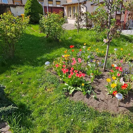 Rosengarten Blankenburg (Harz)