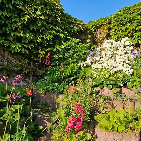 Rosengarten *