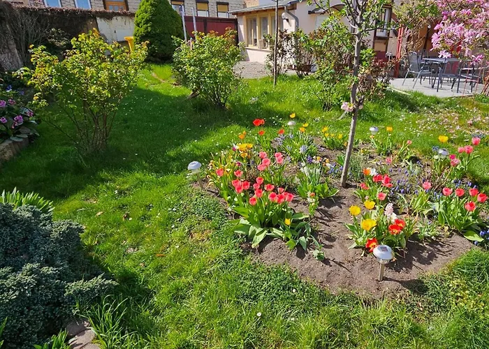 Rosengarten بلانكنبرغ